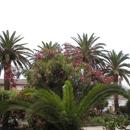 La Colonial